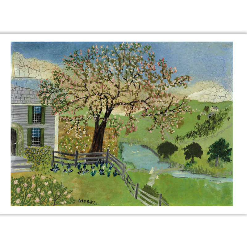 32 adet/kutu Iyi Zaman Büyükan - Collectible Vintage Greeting Cards incelemesi ve fiyatı